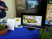 Slide exhibit at the Aquarium of the Pacific Earthday table
