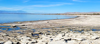 Salton Sea and Big Morongo Nov 2022