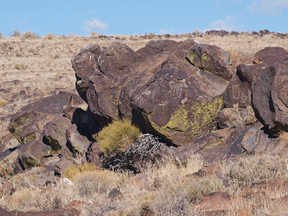 Petroglyphs cover the rocks