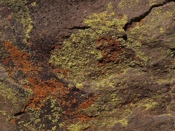 Lichen also covers the rocks