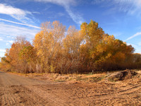 Palo Verde Ecological Reserve