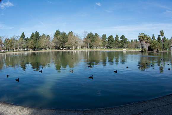 El Dorado Duck Pond