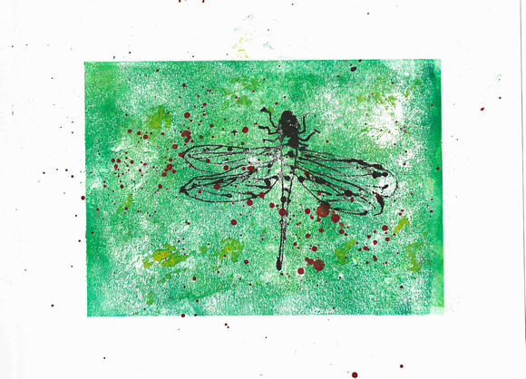 Dragonfly series