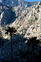 Palm Springs base of Tram to Mt San Jacinto