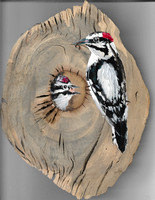 Birdtober #3: Woodpecker