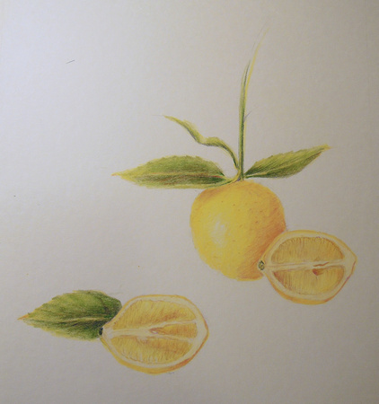 Lemon-art