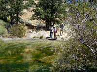 The pond just outside camp