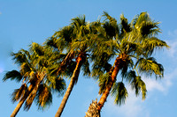 Lovely Long Beach