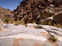 Smithwater Canyon smooth rocks before the willow area