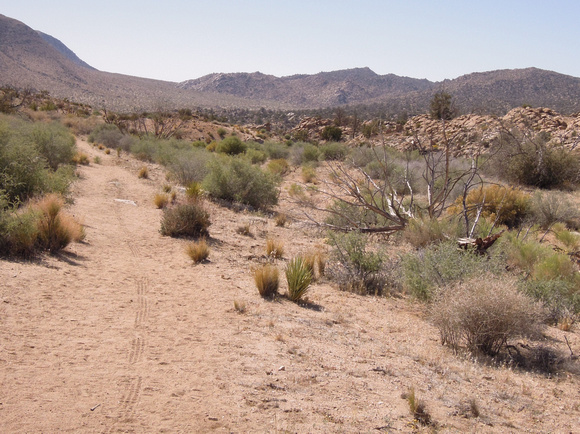 Lower Covington Flat Trail