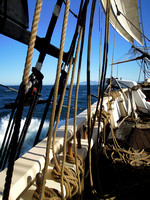 Eight knots