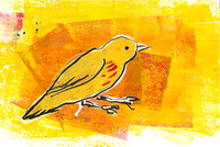 Birdtober #9: Yellow