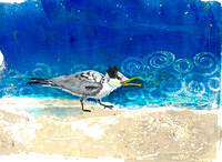 Birdtober #10: Baby BirdBirdtober #11: Ocean