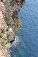 Looking down the cliff edge