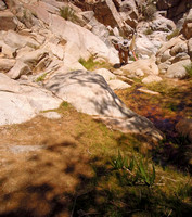 Smithwater Canyon Riparian Area