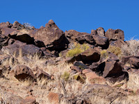 Petroglyphs cover the rocks