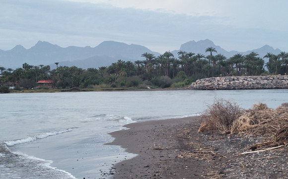 HIgh tide where the mudflats were the night before