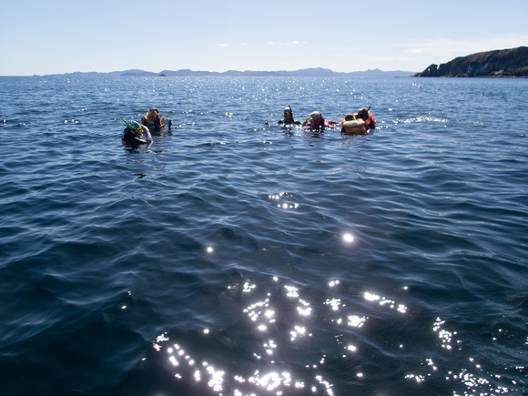 Snorkelers