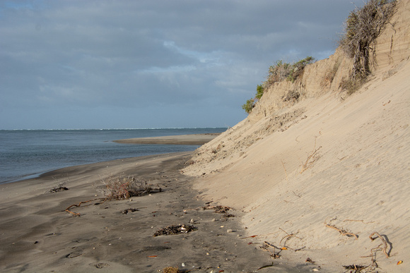 Sand and Dunes