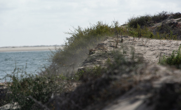 Wind blowing sand off the dune