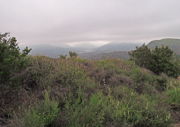 Dripping Springs Trail