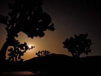 Moonrise at Joshua Tree