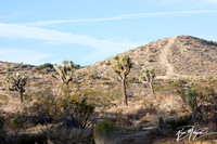 North Slope San Gabriels: Pearblossom, Palmdale, Mountains 11-11-2017