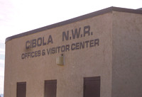 Cibola NWR December 2015