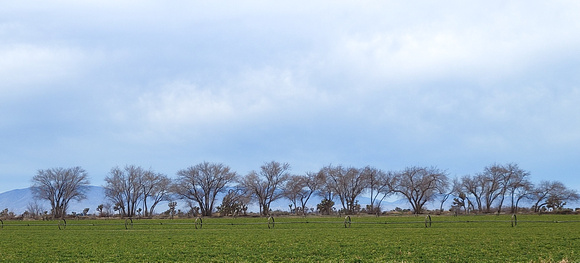 Ag Fields