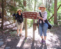 Haypress Creek (Wild Plum Rd)