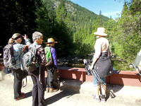 Haypress Creek (Wild Plum Rd)