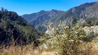 Barrett-Stoddard Truck Trail, San Gabriel Mountains 04-08-2021