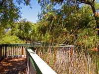 Gardena Willows Wetlands Preserve