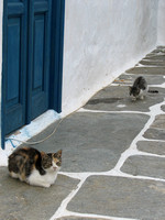 Apollonia, Sifnos, Greece