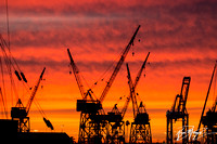 Cranes Sunrise San Pedro