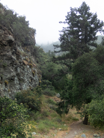 Trail by the West Fork San Gabriel River