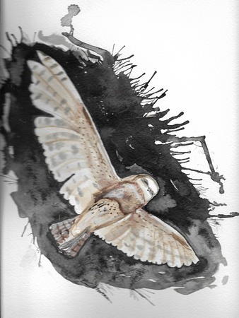 Inktober #4 of 31: Barn Owl night flight