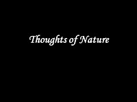 Thoughts of Nature
