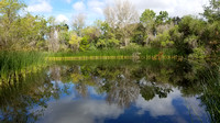 Local Places for Nature