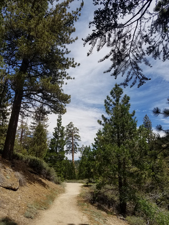 Burrkart Trail