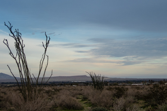 Palm Canyon