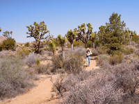 Lower Covington Flat Trail