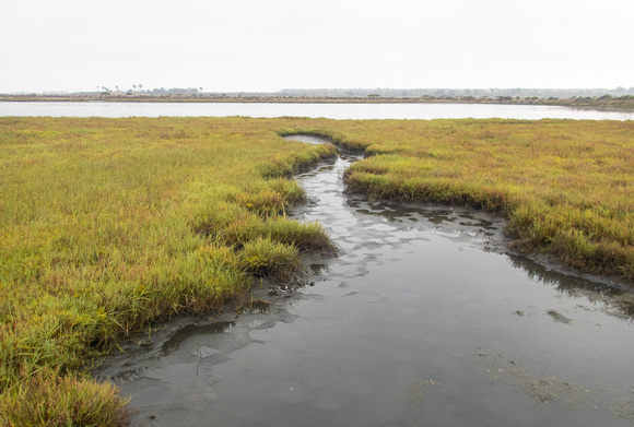 Bolsa Chica Ecological Reserve