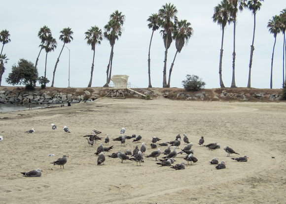 Cabrillo Beach