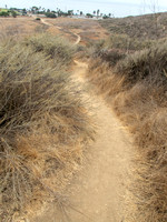 White Point Trails