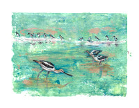 Avocets on the river. Mixed media