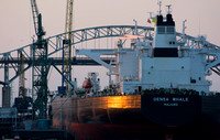 Gerald Desmond Bridge (East Basin)
