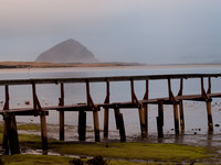 Morro Bay, Los Osos, and Montana de Oro Feb 2015