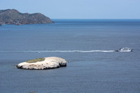 Bird Rock