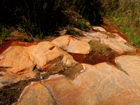 Smithwater Canyon Riparian Area